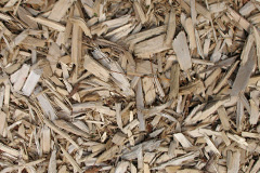 biomass boilers Saltness